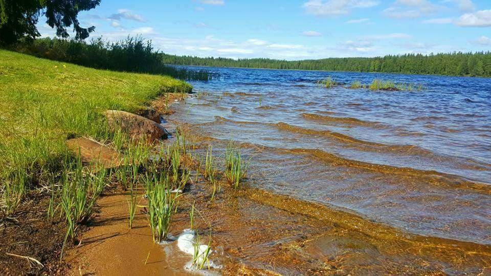 Вилла Hamra Stugby - Nature Adventures Хамра Экстерьер фото