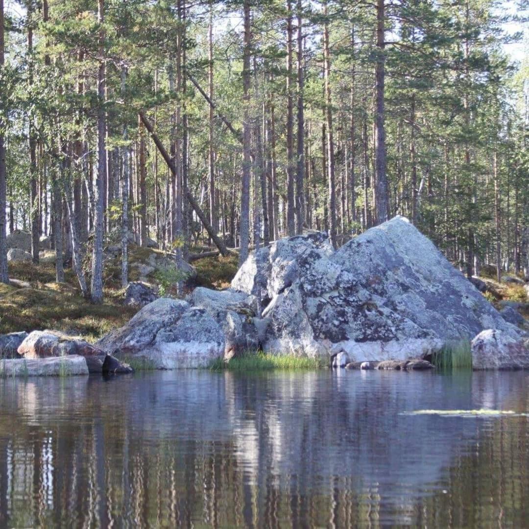 Hamra Stugby - Nature Adventures Хамра Экстерьер фото