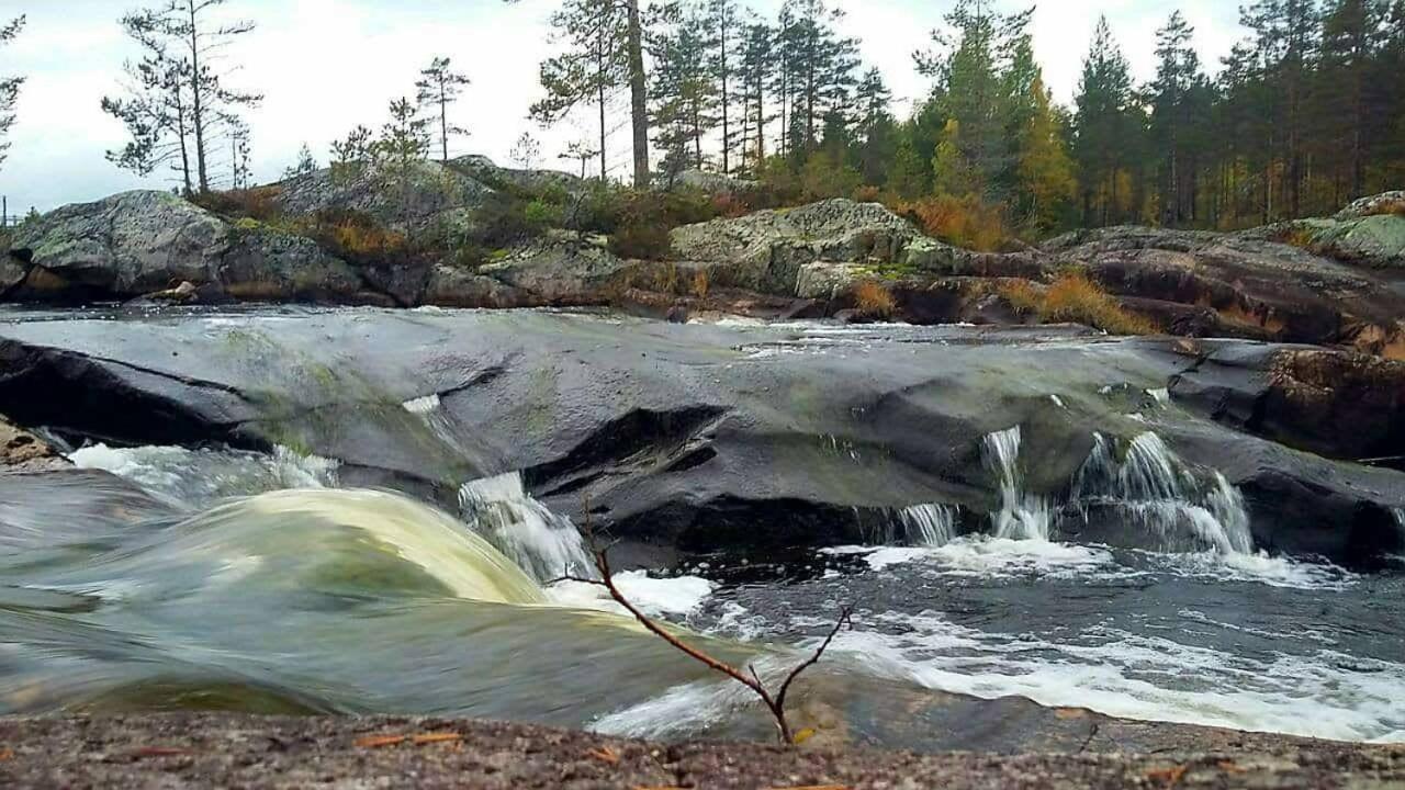 Вилла Hamra Stugby - Nature Adventures Хамра Экстерьер фото